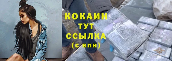 мдпв Майский