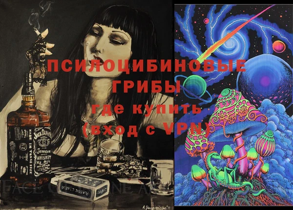 гашик Магадан