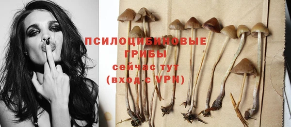 гашик Магадан