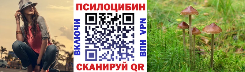 купить  сайты  Звенигово  Псилоцибиновые грибы мухоморы 
